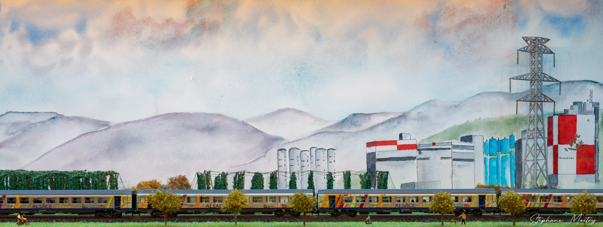 Les houblonnières d'Alsace